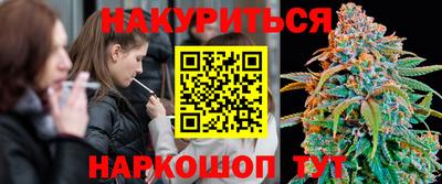 стаф Пенза