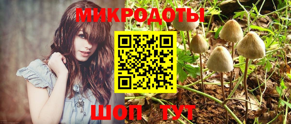 Галлюциногенные грибы MAGIC MUSHROOMS  Вход с VPN  Псилоцибиновые грибы мицелий  Сорочинск 